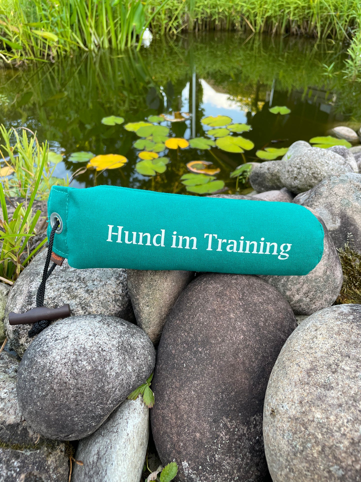 Dummy 500g "Hund im Training"